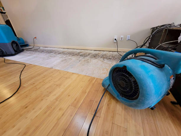 Professional Water Damage Repair technician working in Rome, GA